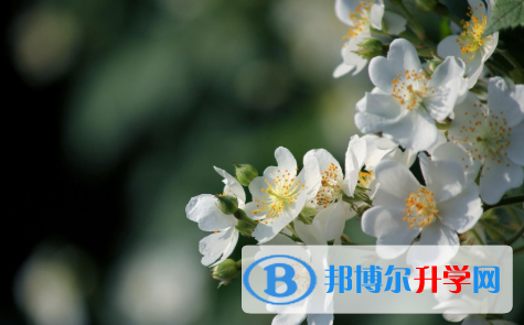 2021年秦皇島中考重點線