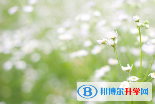 2021年秦皇島中考志愿如何填寫