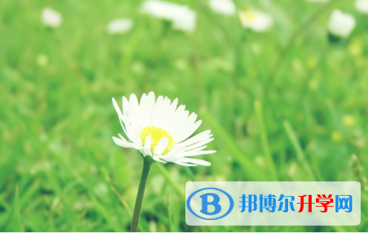 2021年唐山網上查詢中考成績怎么查詢
