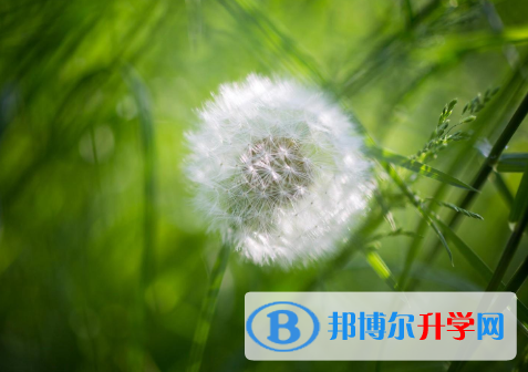 2021年唐山怎樣查詢中考成績(jī)