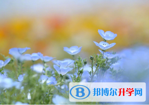 2021年唐山中考成績查詢網址