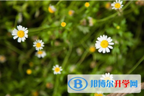 2021年唐山中考報考人數