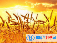 2021年邯鄲中考可以報哪些學校