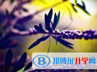 2021年邯鄲中考人數