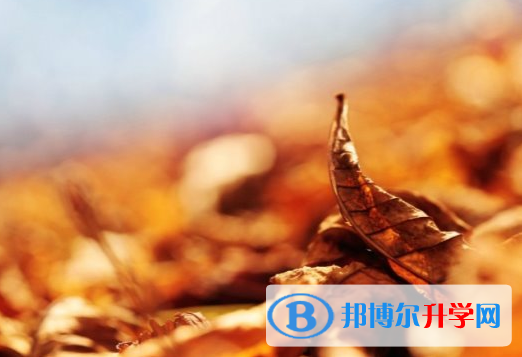 邯鄲2021年中考是不是錄取線(xiàn)最高的