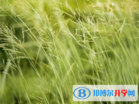 邯鄲2021年中考網(wǎng)上報名