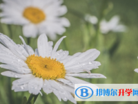 邯鄲2021年中考網(wǎng)上報名模擬