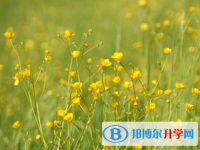 邯鄲2021年中考網(wǎng)上模擬報名