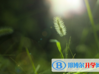 邯鄲2021年中考預(yù)估重點線