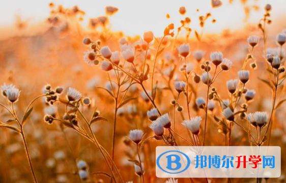 邯鄲2021年中考怎樣調劑