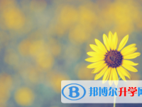 邯鄲2021年中考招生網(wǎng)絡(luò)應(yīng)用服務(wù)平臺