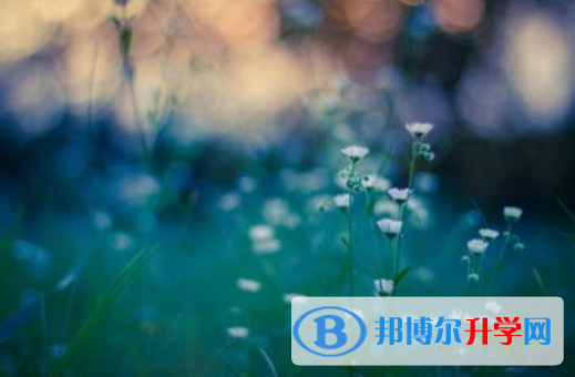 邯鄲2021年中考重點復習資料