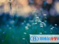邯鄲2021年中考重點(diǎn)復(fù)習(xí)資料