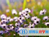 邯鄲2021年中考重點(diǎn)線錄取
