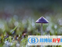 邯鄲2021年中考重點(diǎn)線上線率