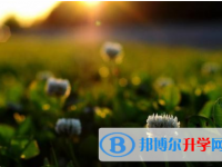 邯鄲2021年中考重點(diǎn)線是多少