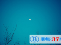 邯鄲2021年中考咨詢熱線電話號(hào)碼