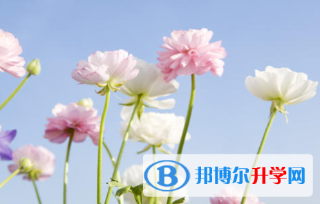 邯鄲2021年中考自主招生報名