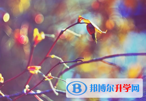 邯鄲2021年中考自主招生報名有哪些學校