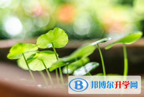 保定2021年今年初中考試時間
