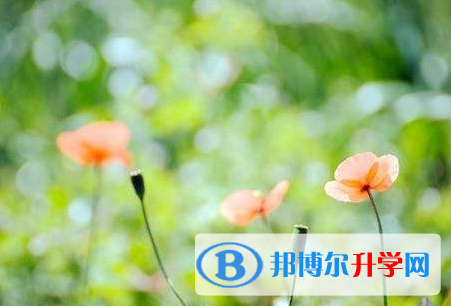 保定2021年中考報(bào)名