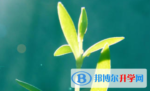 保定2021年中考報名服務平臺