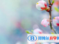 保定2021年中考的統招和調劑說明