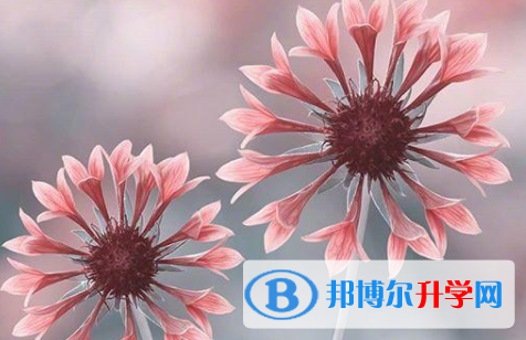 保定2021年中考考試時(shí)間