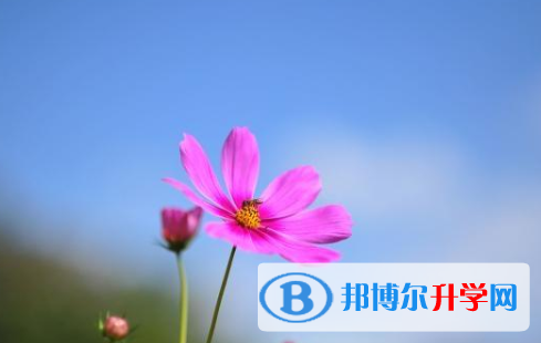 保定2021年中考生活注意事項