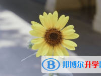 保定2021年中考后可以上什么學校
