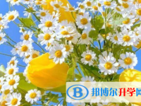 保定2021年中考200多的哪些學校要
