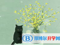 保定2021年這次中考多久結束