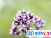 保定2021年沒有學籍可以參加中考嗎