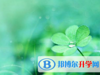 保定2021年什么是中考調劑生