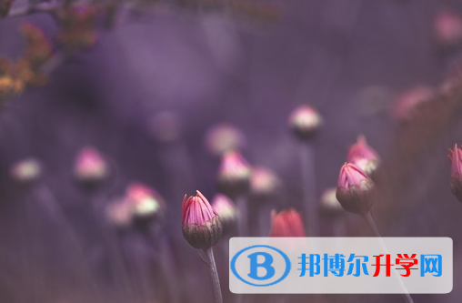 保定2021年中考報(bào)名網(wǎng)址