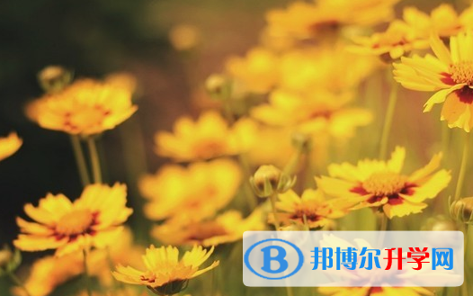 保定2021年中考報(bào)名系統(tǒng)網(wǎng)址