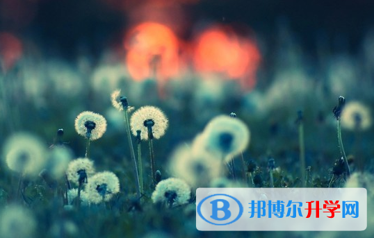 保定2021年中考報考志愿表