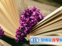 保定2021年中考成績有沒D