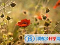 保定2021年中考體育成績對照表