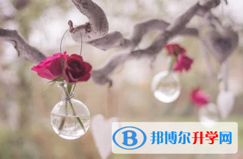 保定2021年各個學校中考錄取線