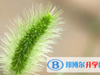 保定2021年近幾年中考重點線
