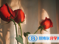 保定2021年近年中考重點線