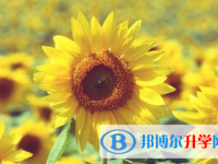 保定2021年歷年中考重點