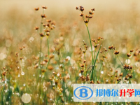 保定2021年中考報考攻略