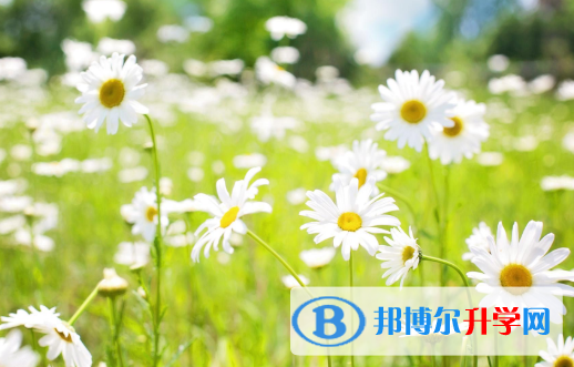 保定2021年中考規則