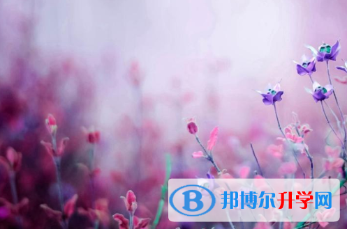 保定2021年中考考點(diǎn)
