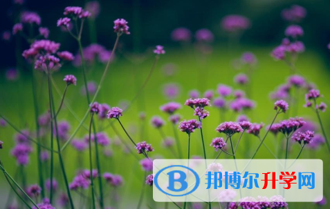 保定2021年中考考生人數