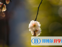 保定2021年中考錄取報名網