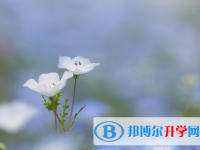 保定2021年中考錄取查詢?nèi)肟? /><b>保定2021年中考錄取查詢?nèi)肟?/b><span>2021-03-19 14:48</span><p>中考錄取的結(jié)果是根據(jù)你的中考成績(jī)與中考志愿來(lái)錄取的，而且每一所院校都會(huì)有自己的錄取標(biāo)準(zhǔn)。小編提醒不同批次的志愿錄取時(shí)間不</p></a></h3></li>
            <li><h3><a href=