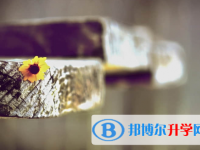 保定2021年中考統(tǒng)考成績(jī)